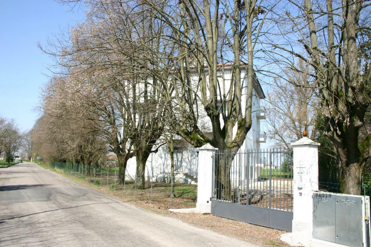 Villa Dei Tigli San Vicenzo di Galliera ภายนอก รูปภาพ